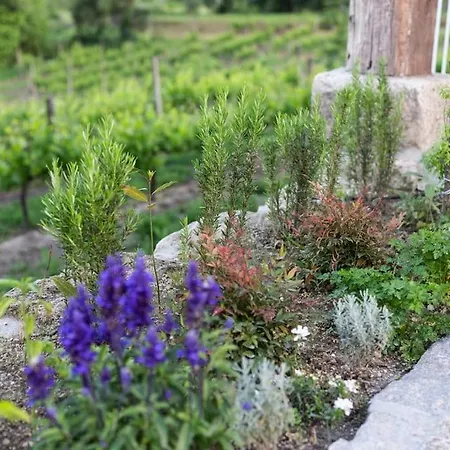 Retiro Acolhedor Na Natureza, 35 Min Porto Holiday home *