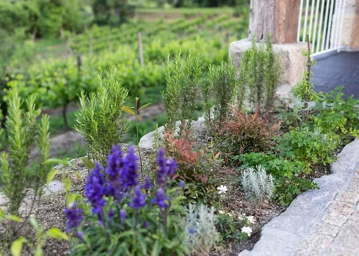 Retiro Acolhedor Na Natureza, 35 Min Porto Prázdninový dům *